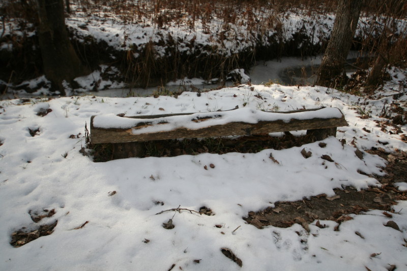 Half-log mock-up along the side of Haller Creek