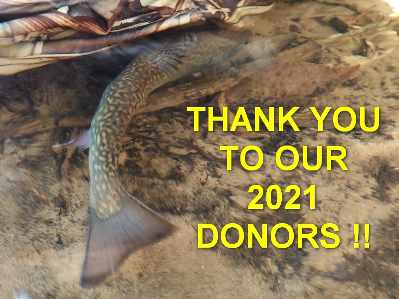Green Bay Trout Unlimited 2021 Donor Recognition Page