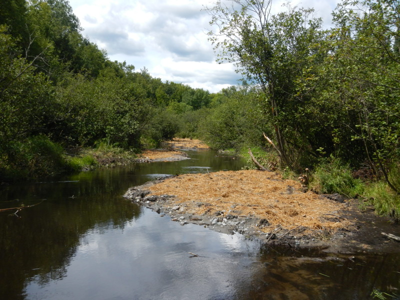 Beautiful meandering stream restored