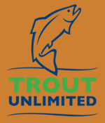 New TU Logo Bronze