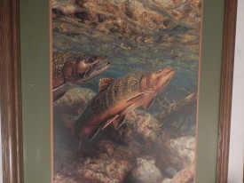Brook trout painting looks great image