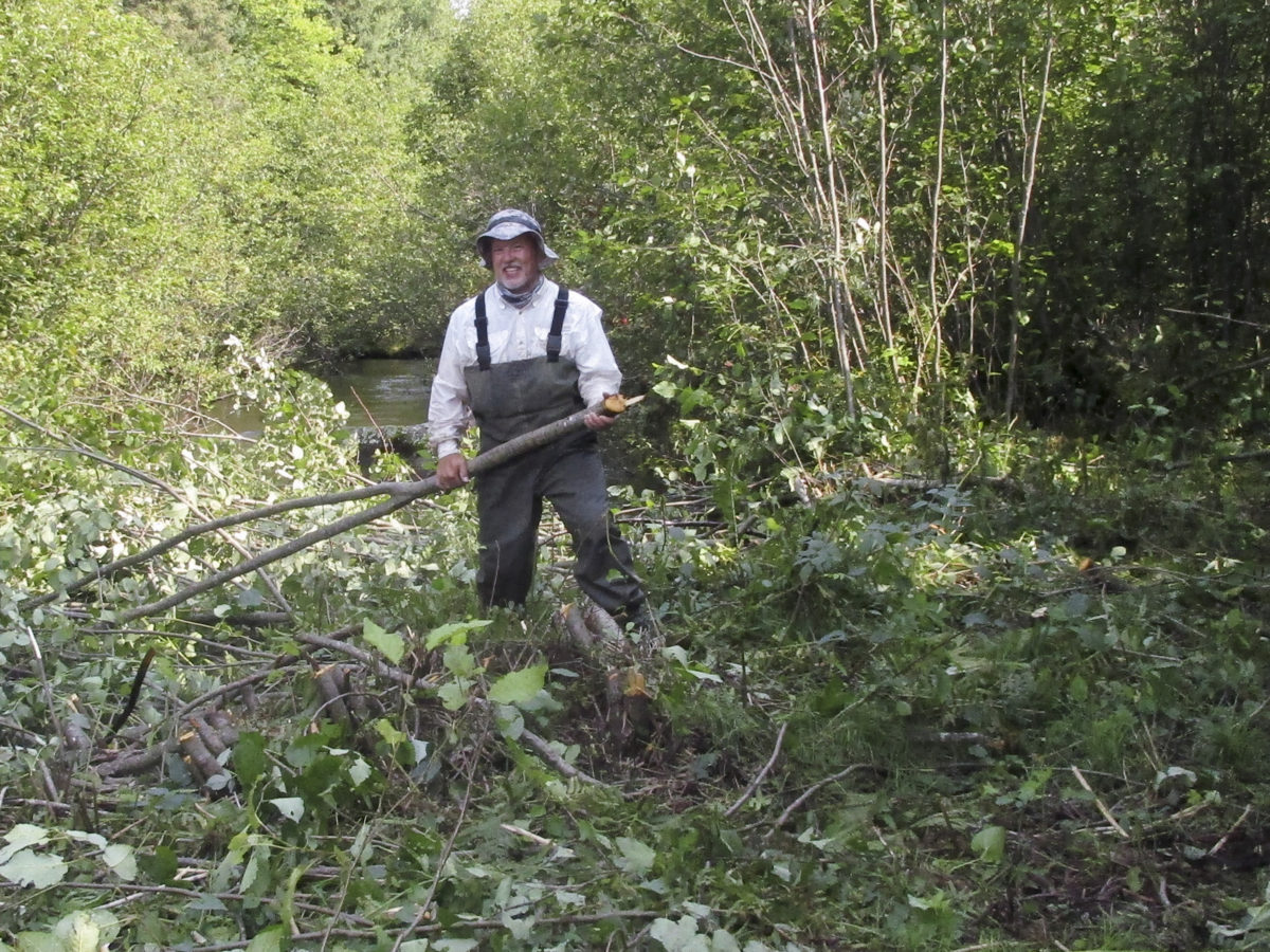 Mike Renish dragging off Alder to the brush heap