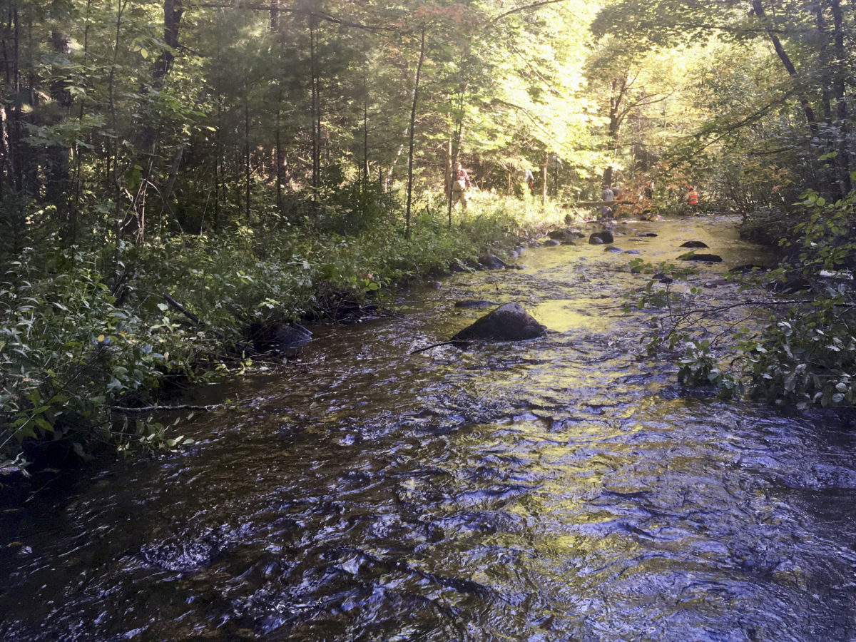 Eagle Creek is one of the beautiful creeks in Marinette County