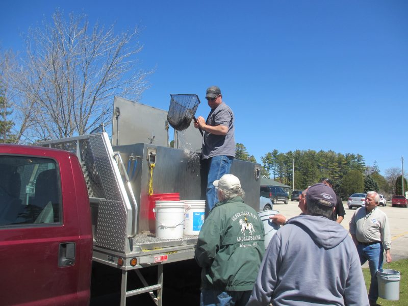 Green Bay Trout Unlimited DNR Stocks Trout in Haller Creek