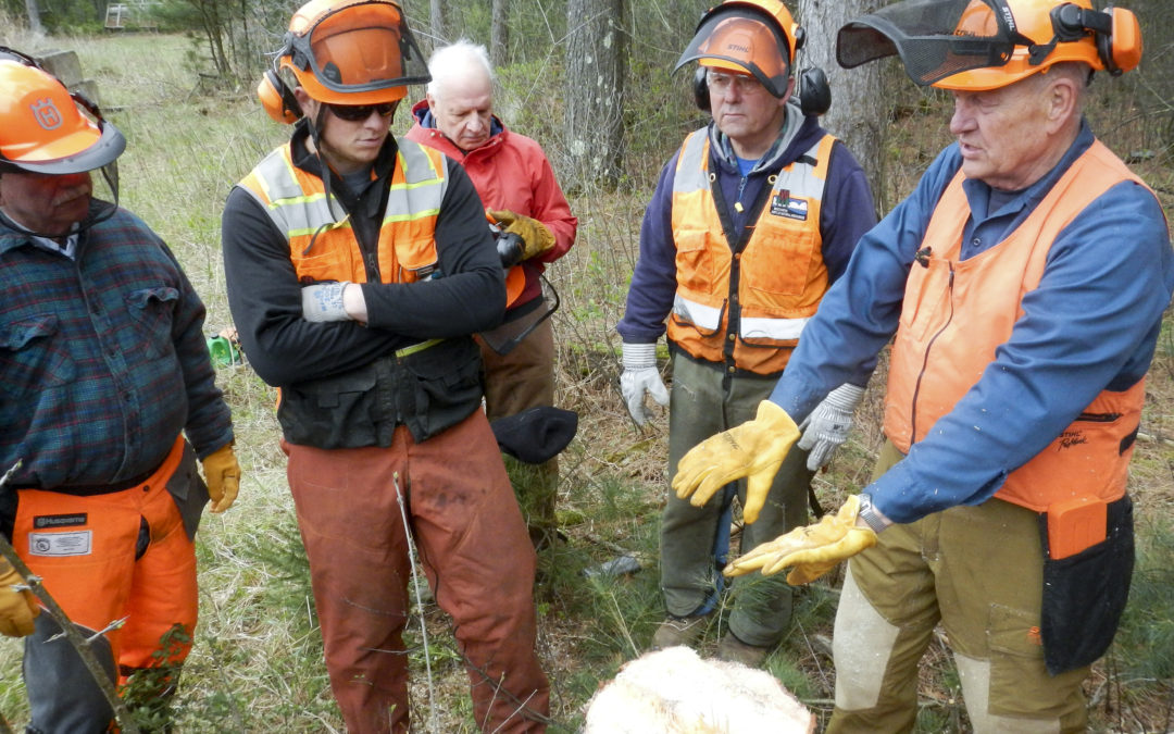 Certified Chainsaw Training