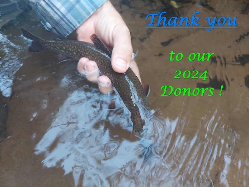 Green Bay Trout Unlimited 2024 Donor Recognition Page