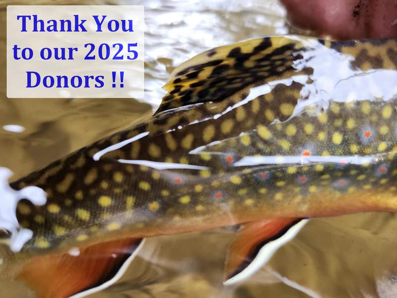 Green Bay Trout Unlimited 2025 Donor Recognition Page